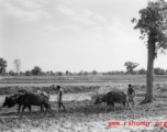 Local people plow farmland in India.