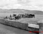 A mule train in Yunnan province, China.