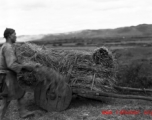 Local people in Yunnan, China: Harvesting rice on wooden-wheeled carts during WWII.