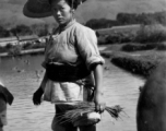 Local people in China: A woman in Yangkai, Yunnan transplants rice seedlings. During WWII.