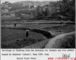 Buildings of Chongqing form the backdrop for farmers and rices paddies. 1944.  Photo from Harold L. Block.