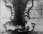 Pelt of tiger killed by men of 745th Railway Operating Battalion, near Miriani, Assam.  Photo from Tom D. Davis.