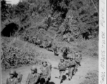 Mars Task Force, 124th Cavalry Regiment, marching in Burma on Christmas Day, 1944. In the CBI during WWII.  Photo from Dwight Burkam.