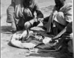 Shake charmer in India during WWII.  Photo from Kenney Nelson.