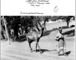 Camel and owner on street, probably near Karachi, India, 1943.  Photo by Frank J. Mueller, USAAF 1942-1946, provided by Mark G. Mueller.