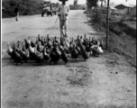 A Chinese farmer and gaggle of ducks in SW China during WWII.  Photo from J. Ellis Wood.