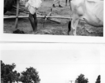 People linger on at market (or came early; top), and people laboriously pull water from a well (bottom).  Scenes in India witnessed by American GIs during WWII. For many Americans of that era, with their limited experience traveling, the everyday sights and sounds overseas were new, intriguing, and photo worthy.