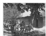 Man holding child (top), ox pulling cart (middle), and bustling market with produce (bottom).  Scenes in India witnessed by American GIs during WWII. For many Americans of that era, with their limited experience traveling, the everyday sights and sounds overseas were new, intriguing, and photo worthy.