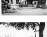 Man pulls water up from well (top), and men work metal with hand bellows (bottom).  Scenes in India witnessed by American GIs during WWII. For many Americans of that era, with their limited experience traveling, the everyday sights and sounds overseas were new, intriguing, and photo worthy.