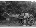 Ox pulling "sanitary cart" with barrel for storage.  Scenes in India witnessed by American GIs during WWII. For many Americans of that era, with their limited experience traveling, the everyday sights and sounds overseas were new, intriguing, and photo worthy.